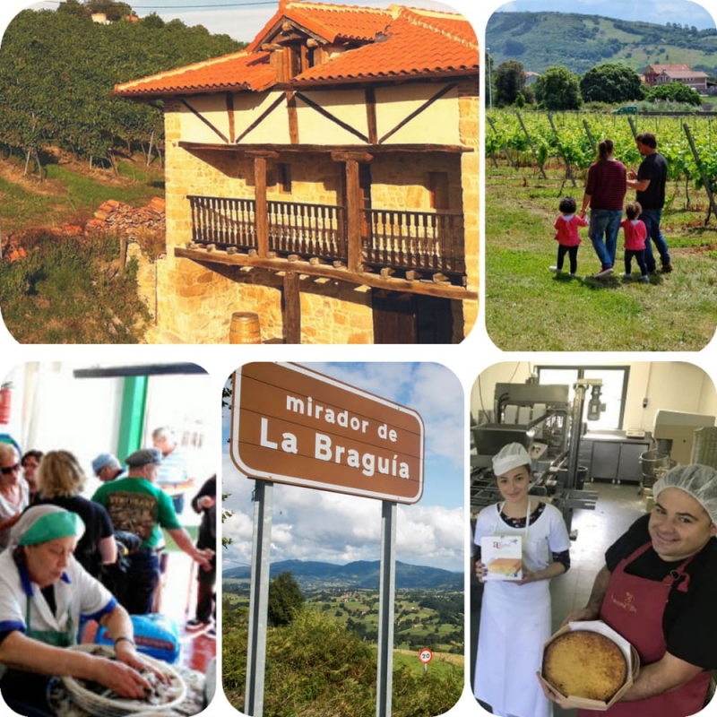 ¿Dónde puedo ir de enoturismo en Cantabria?: Bodegas Vidular